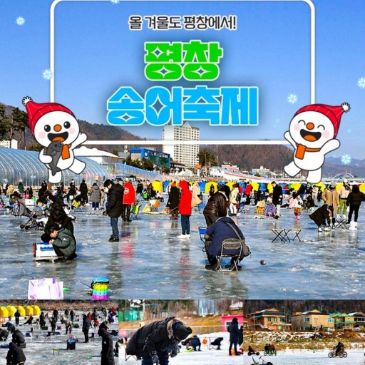 강원 평창 송어 축제 포스터