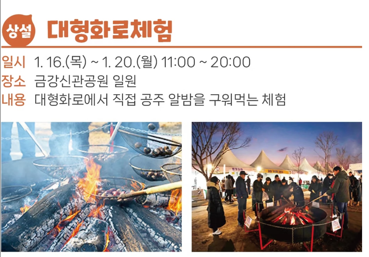 우리나라 유명한 지역축제 공주 알밤 축제