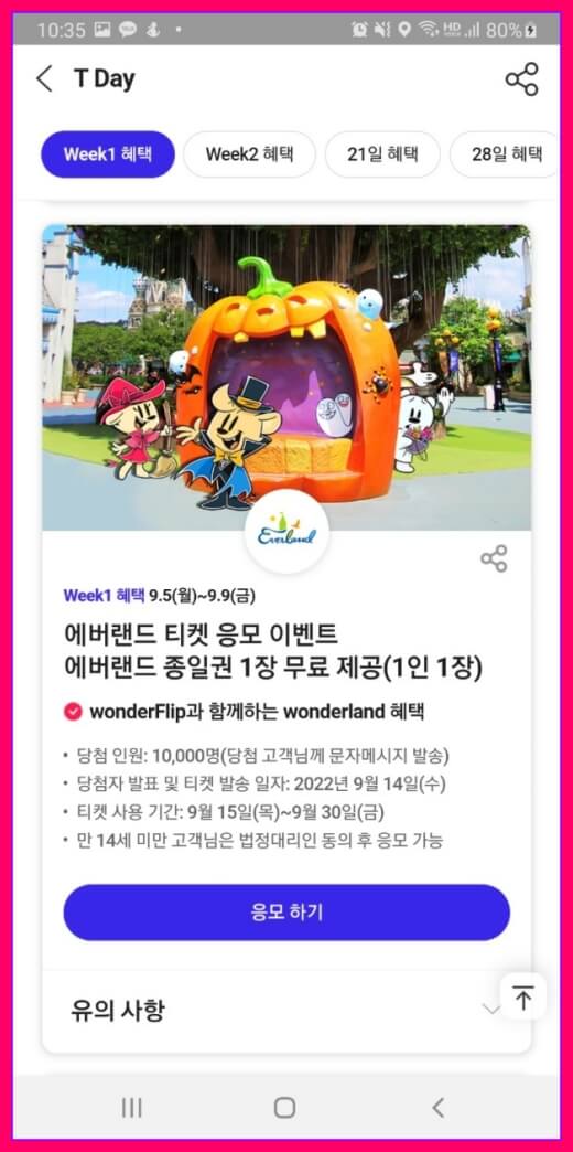 에버랜드 종일권