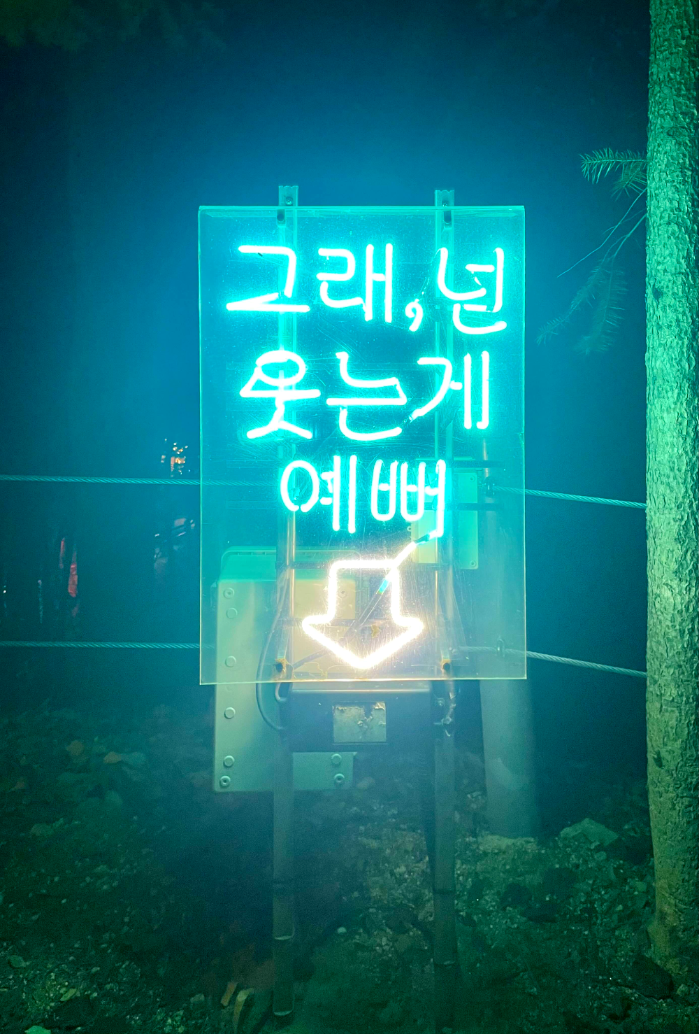 하상욱 네온사인로드2