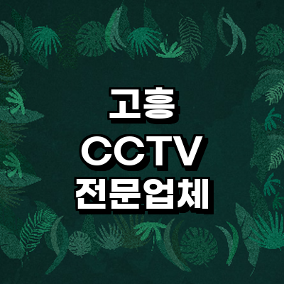 고흥군 cctv
