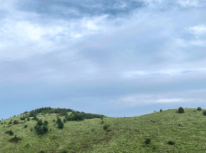 제주도 여행 가을 겨울 가볼만한 곳 오름 추천 입장료 소요시간 반려동물 동반