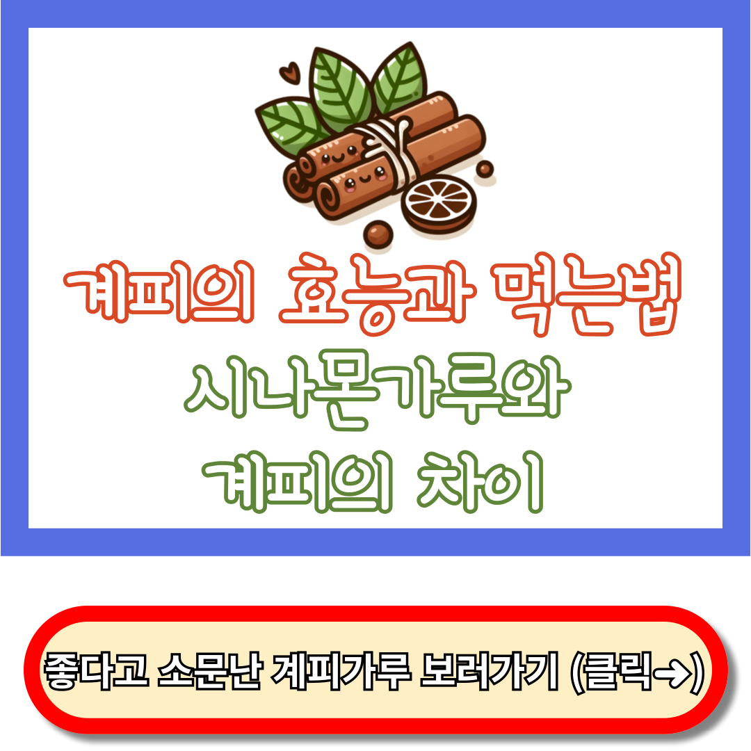 계피가루 효능, 계피가루 먹는법, 시나몬가루와 계피 차이