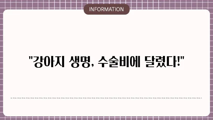강아지 자궁축농증 수술 후 회복