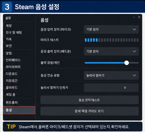<스팀 음성 설정>