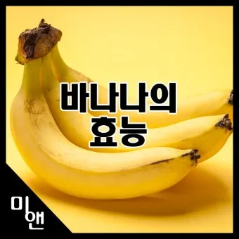 바나나 효능 식이섬유 포만감 운동 전후 효과_8