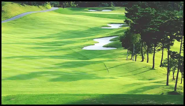 파크골프채 가격 추천 (혼마, 피닉스, 미즈노)