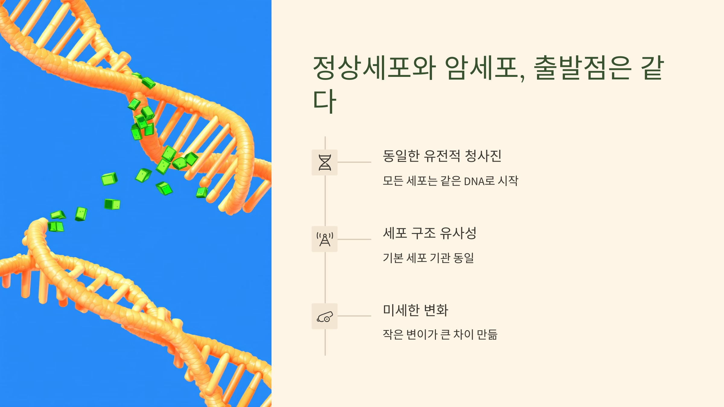 정상세포와 암세포, 출발점은 같다