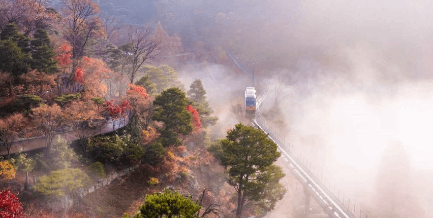 화담숲 가을 단풍 축제