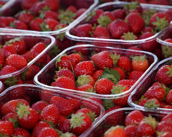 당뇨에 좋은 음식과 나쁜 음식