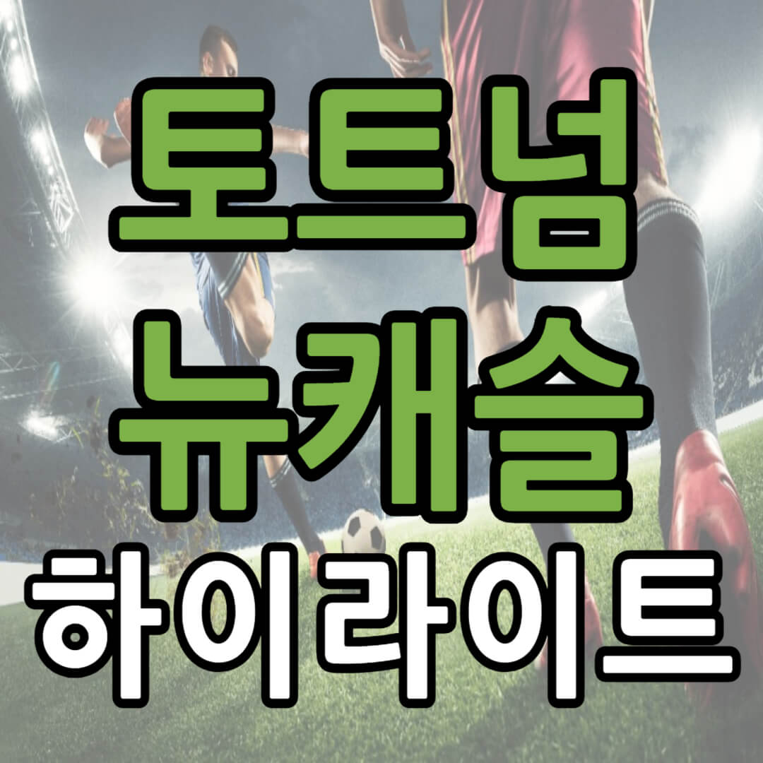 토트넘 뉴캐슬 하이라이트 영상(+ 손흥민 경기)