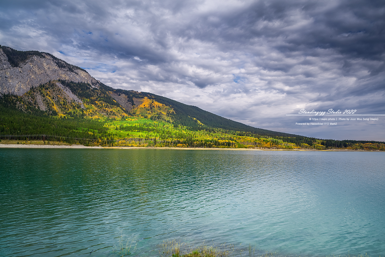 #캐나다 #로키 #산맥 #숲 #호수 #배리어호수 #캐나다여행