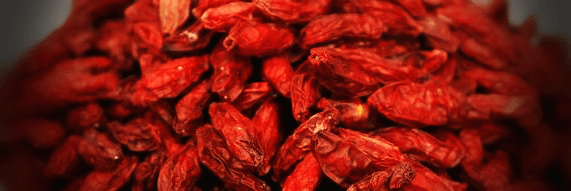 수확한-구기자-사진