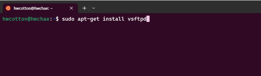 $ sudo apt-get install vsftpd
