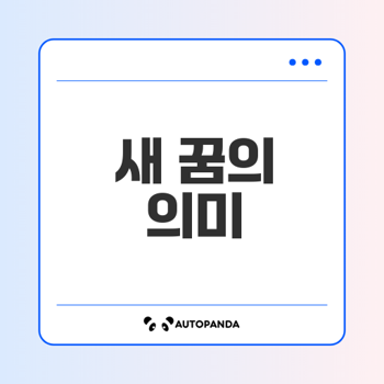 새 꿈의 의미