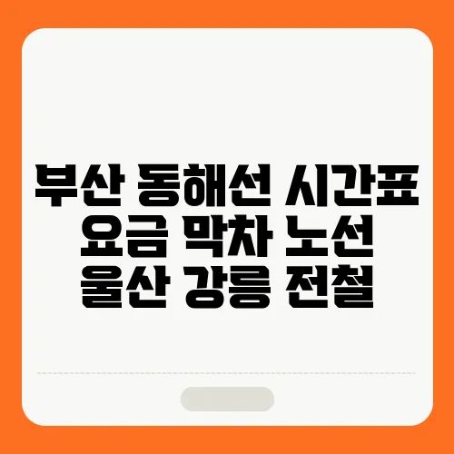 부산 동해선 시간표 요금 막차 노선 울산 강릉 전철