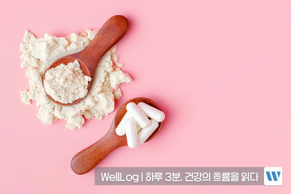 포스파티딜세린 추천 영양제