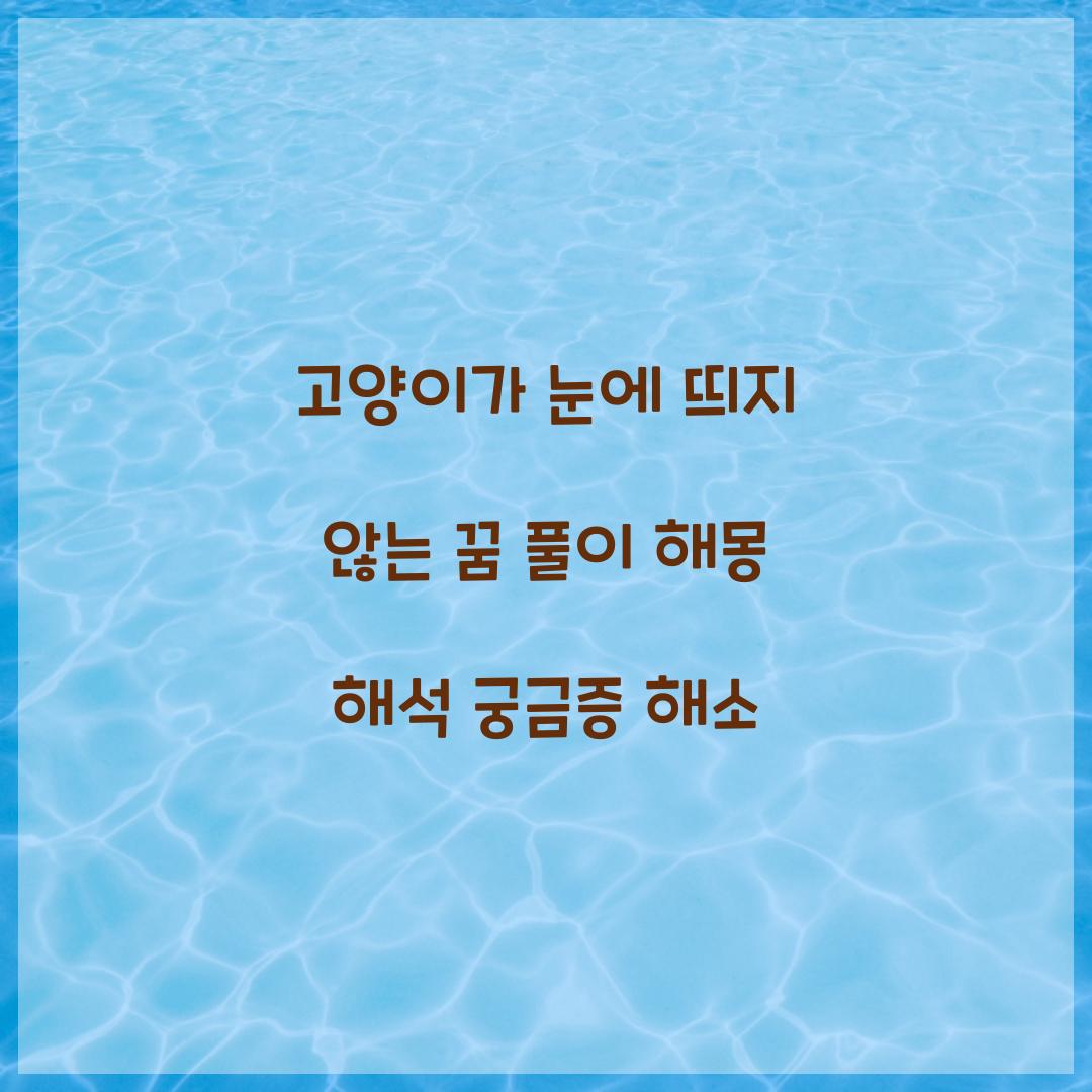 고양이가 눈에 띄지 않는 꿈 풀이 해몽 해석