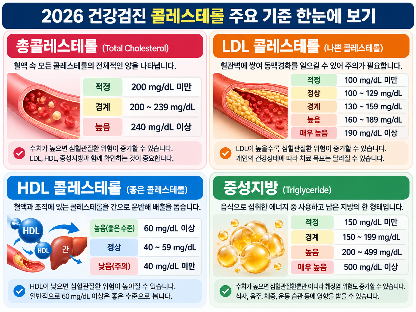 총콜레스테롤·LDL·HDL·중성지방의 주요 기준을 비교한 4분할 인포그래픽