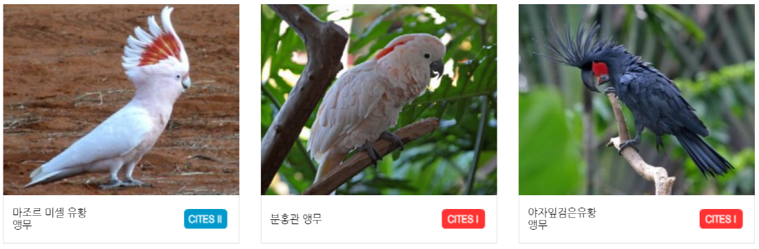 구미 쥬쥬동산