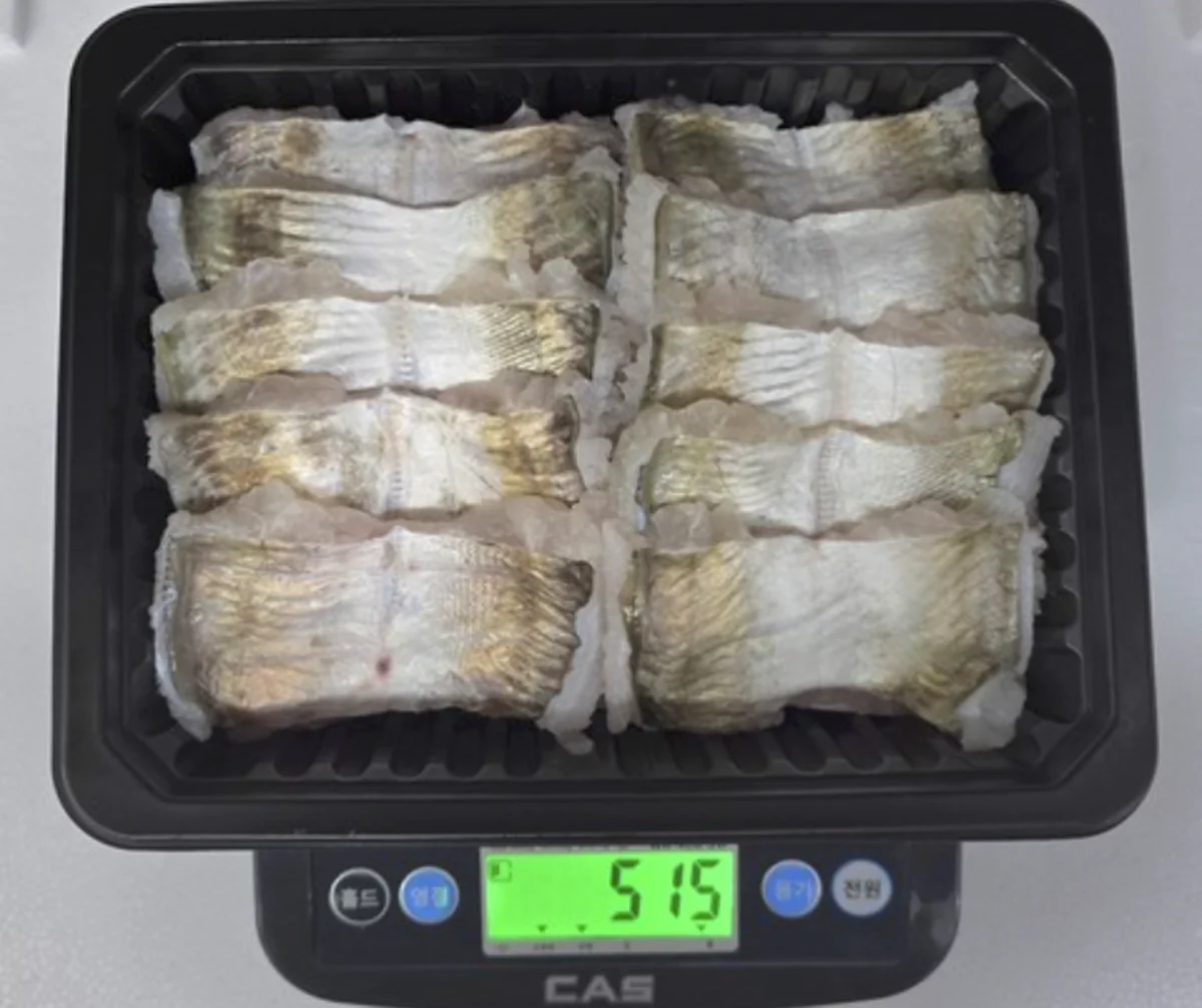 갯장어 구매하기