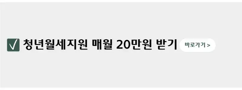 청년월세지원