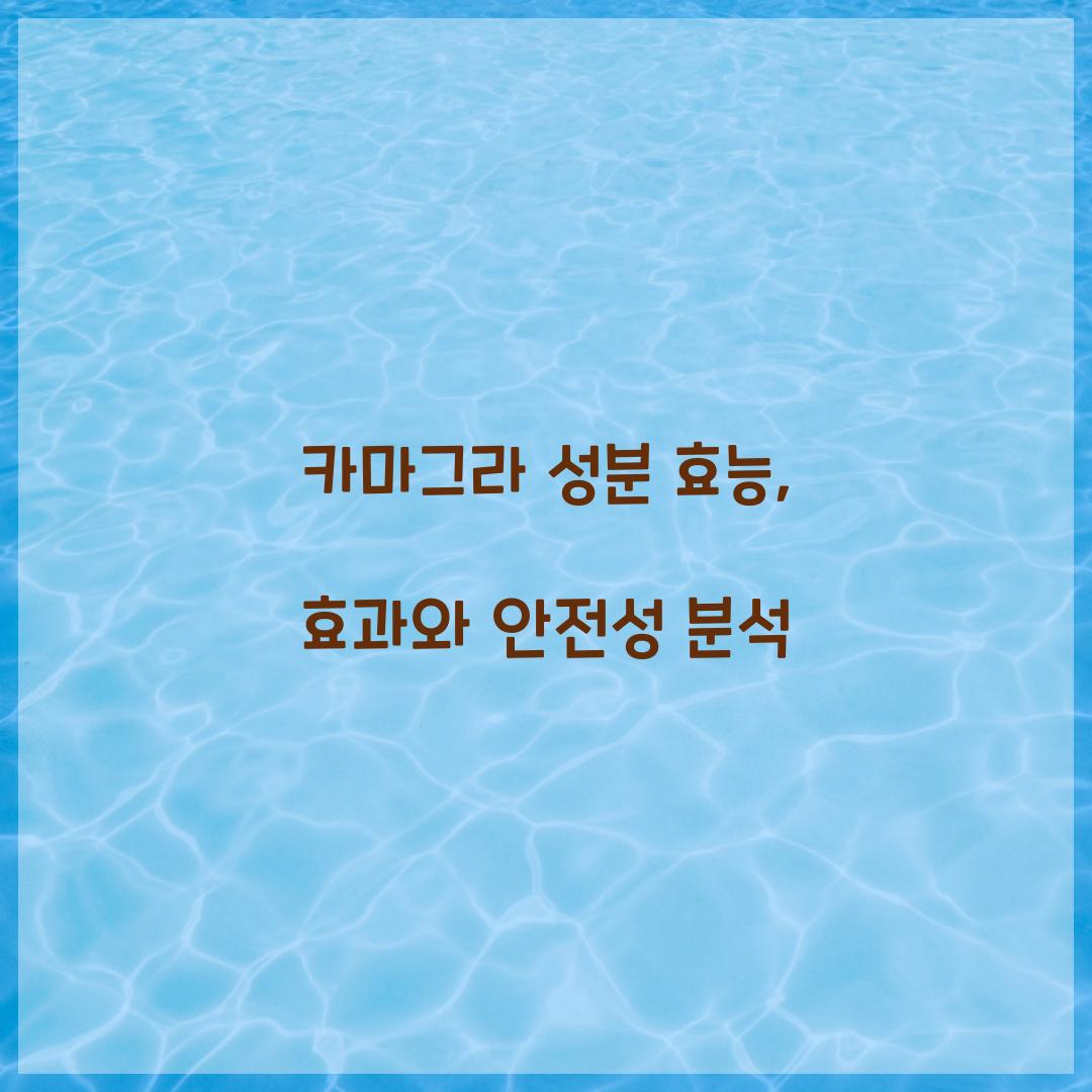 카마그라 성분 효능