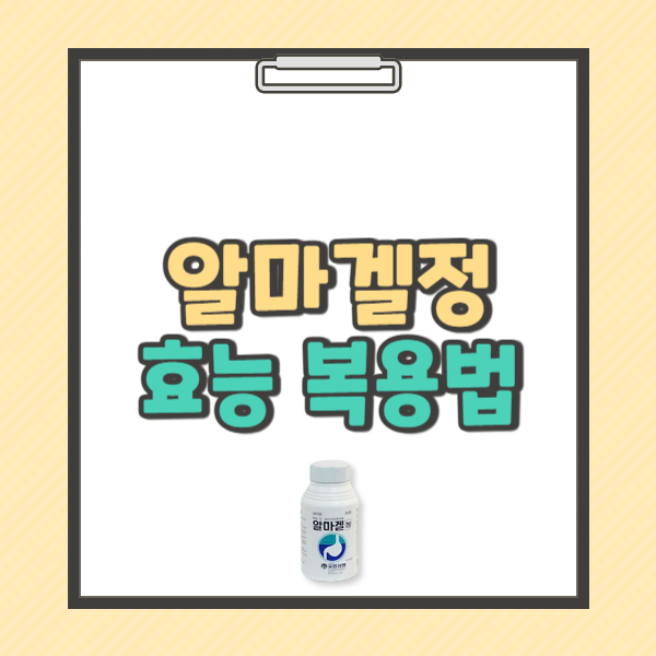 알마겔정 제산제 효능 가격 부작용
