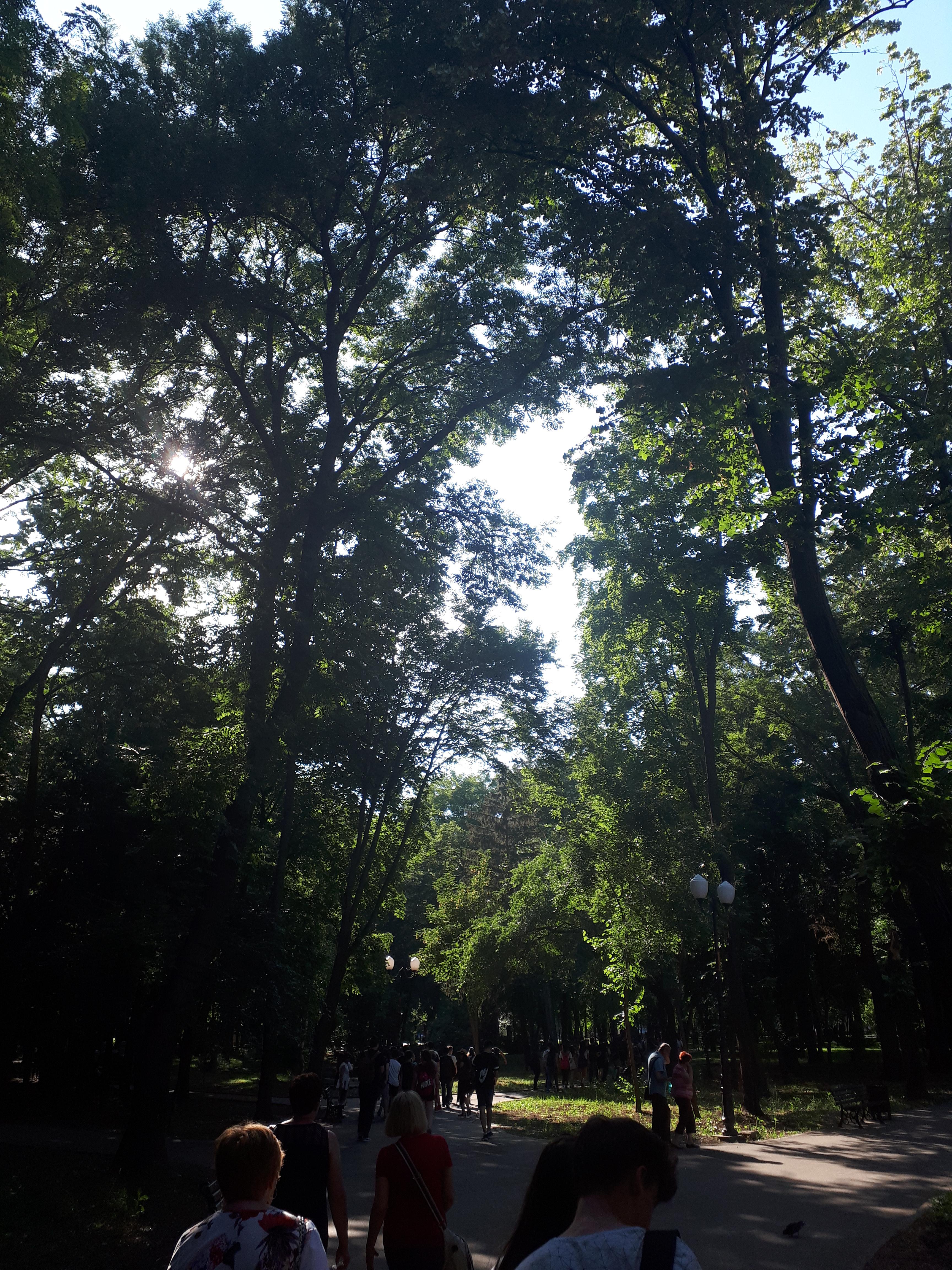 루마니아 이아시 코포우 공원