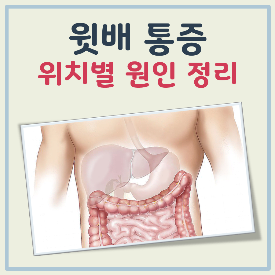 윗배 통증 원인