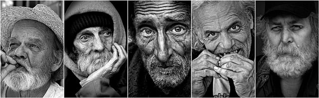 면역 노화 예방의 새로운 접근, ‘세포 재생 영양학’