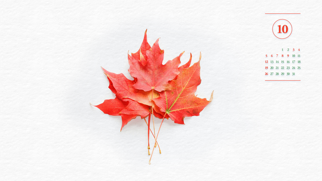 06 플라타너스 나뭇잎 A - 2025년10월 노트북배경화면