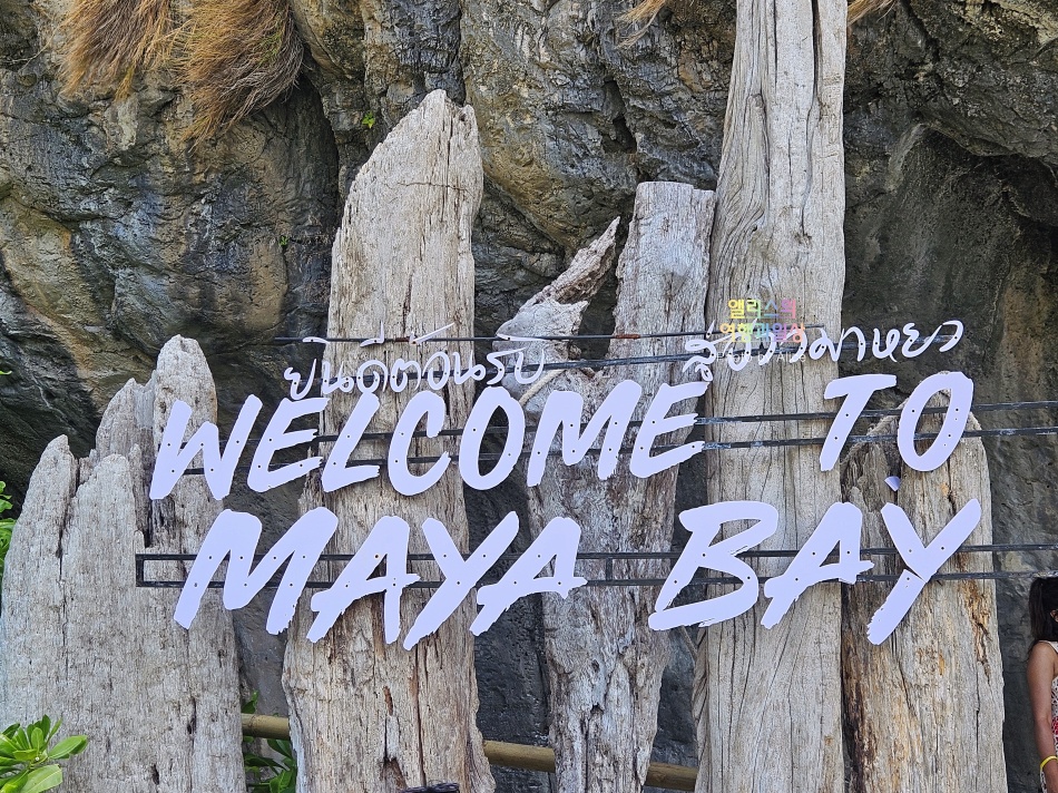 푸켓 스노클링, 피피섬 마야섬 몽키 비치 카이섬 투어 리뷰 코스 가격