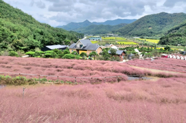 고창 동네별 세부 분석 &mdash; 정착형 생활 관점으로 본 현실적인 선택