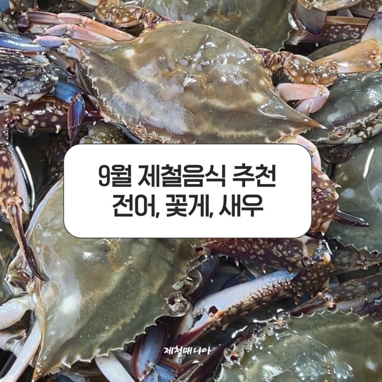 꽃게탕 끓이는 방법