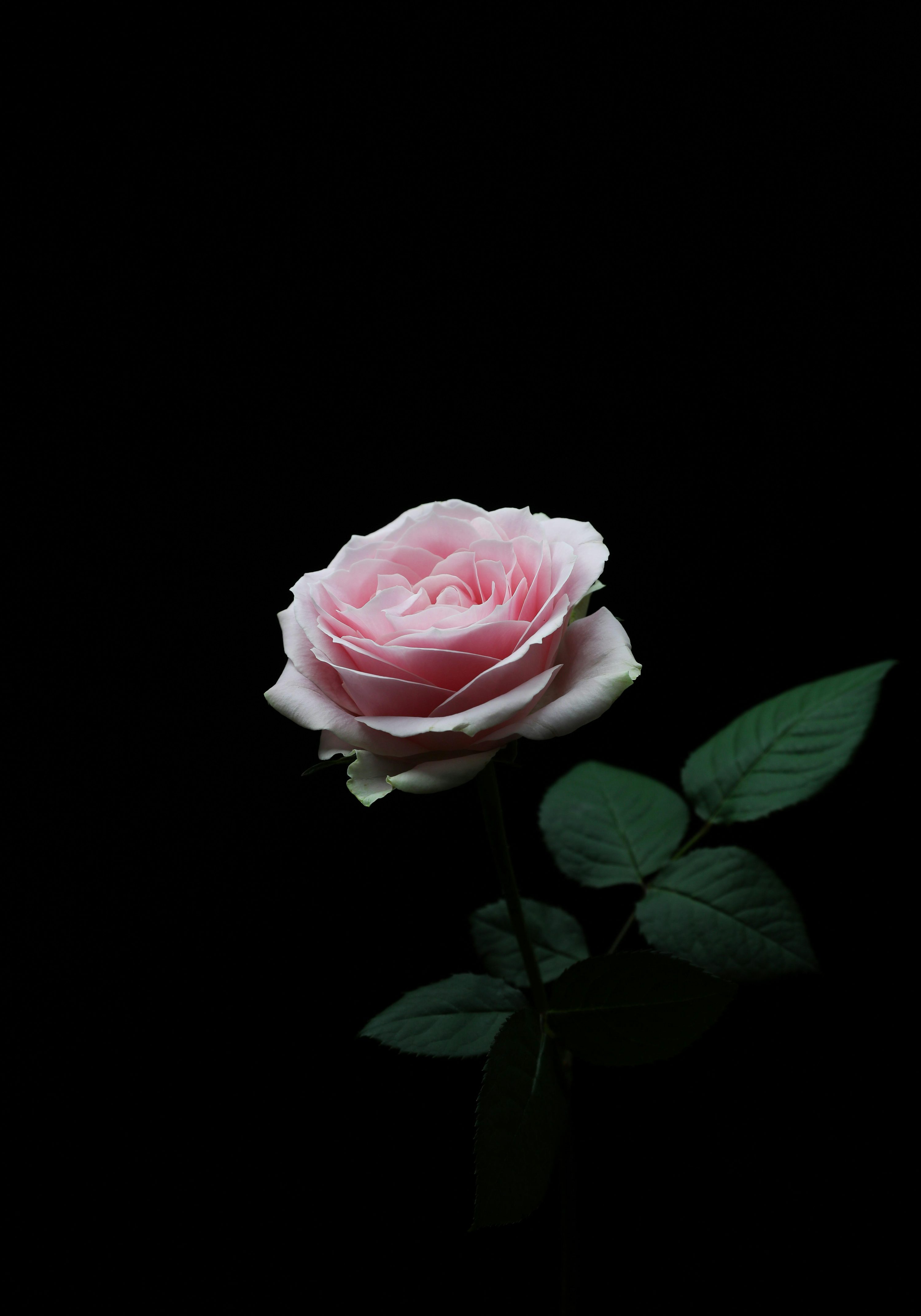 부의 답례 문자
