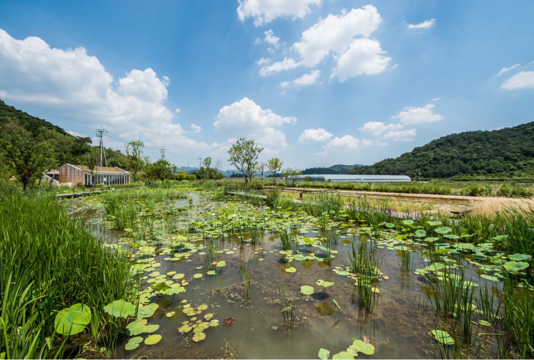 김해 가볼만한곳 - 화포천습지 생태공원