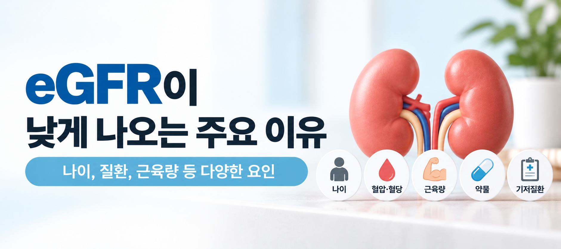 eGFR이 낮게 나오는 주요 원인과 신장 기능 관련 요인 이미지