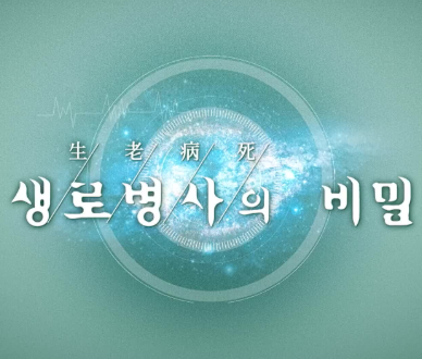 저탄고지 식단 암환자 지중해 식단 생로병사의 비밀