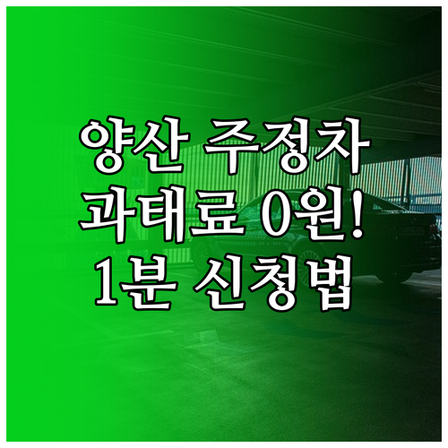 양산시 주정차 단속 문자 서비스 1분..
