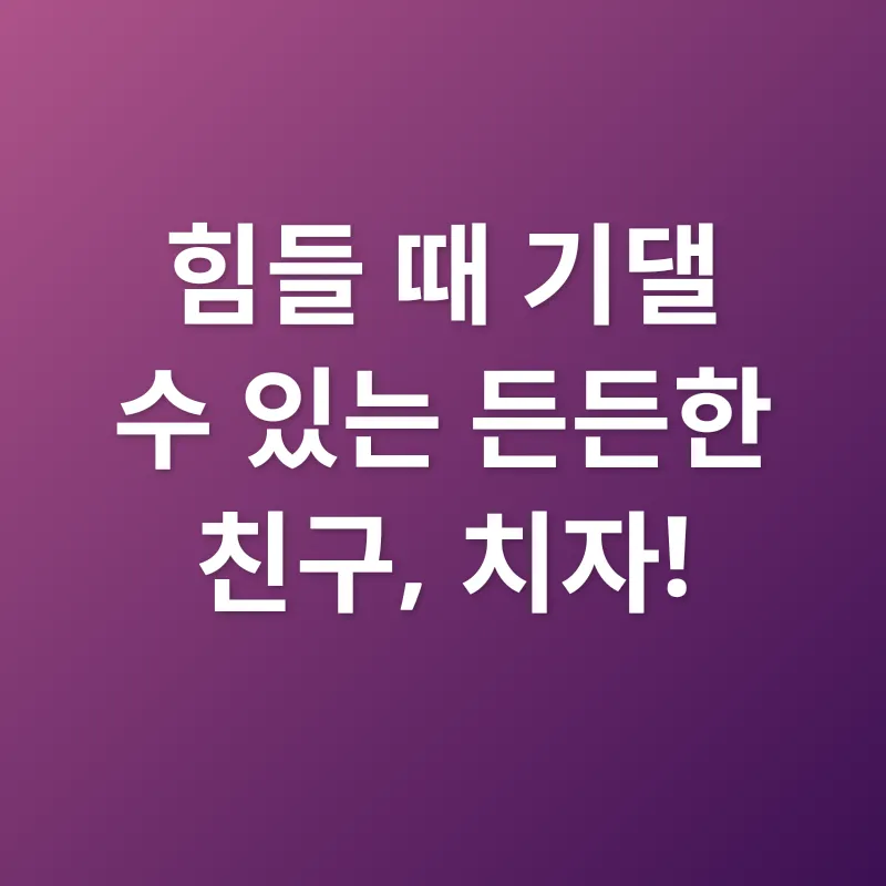 치자 효능_2