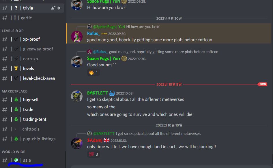 스페이스퍼그-아시아 채널