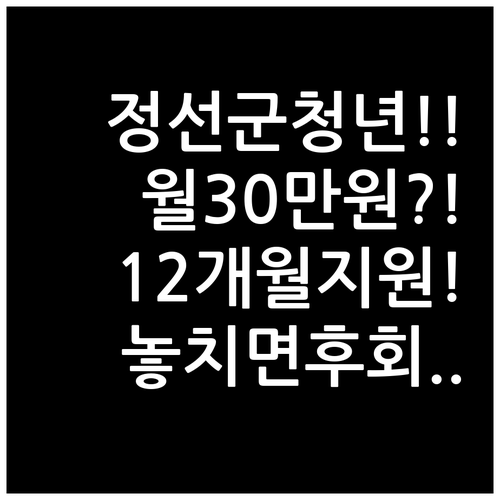 2026 정선군 청년월세지원 총정리 ..
