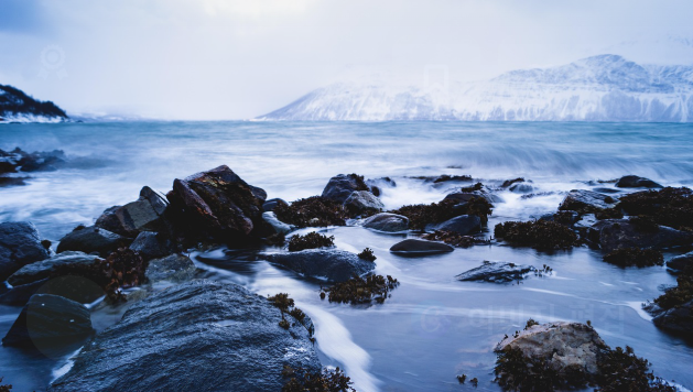 제로웨이스트 식문화와 지속 가능한 먹거리 혁명