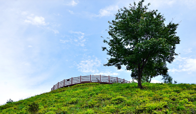 당진 삼선산수목원