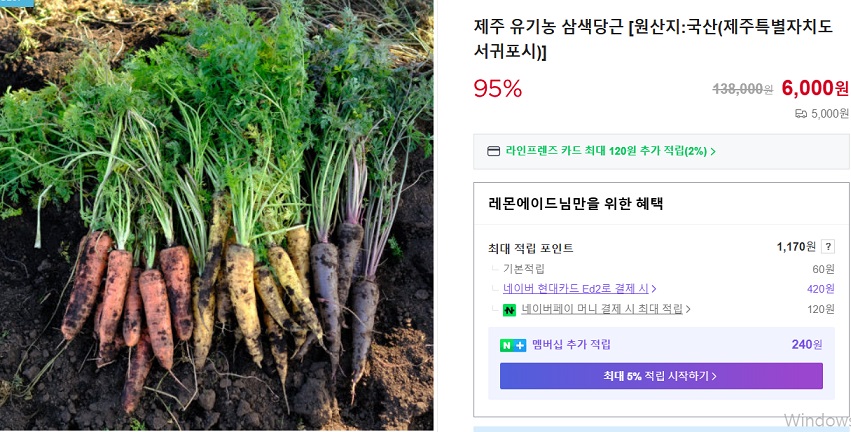 제주유기농삼색당근