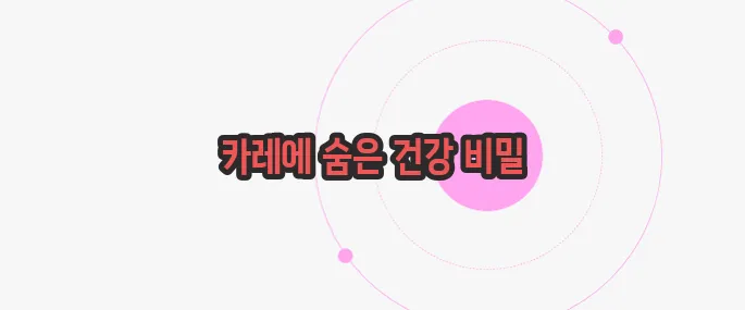 카레 효능 한 번 정리해볼까요