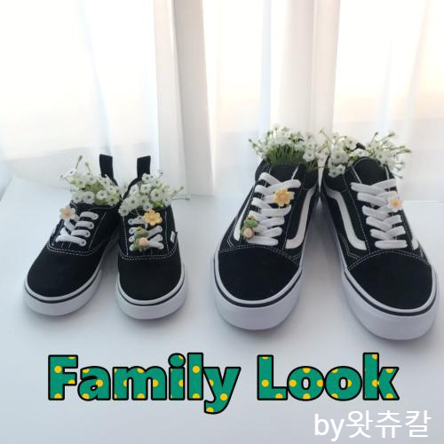 크록스지비츠