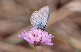 정부지원 저금리 서민대출 11
