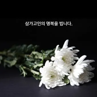 삼가 조의를 표합니다 삼가 고인의 명복을 빕니다 뜻 자료집_10